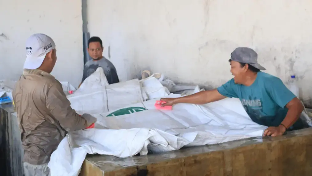 Tiga pekerja mencuci karung jumbo bersama-sama di bak cuci gudang